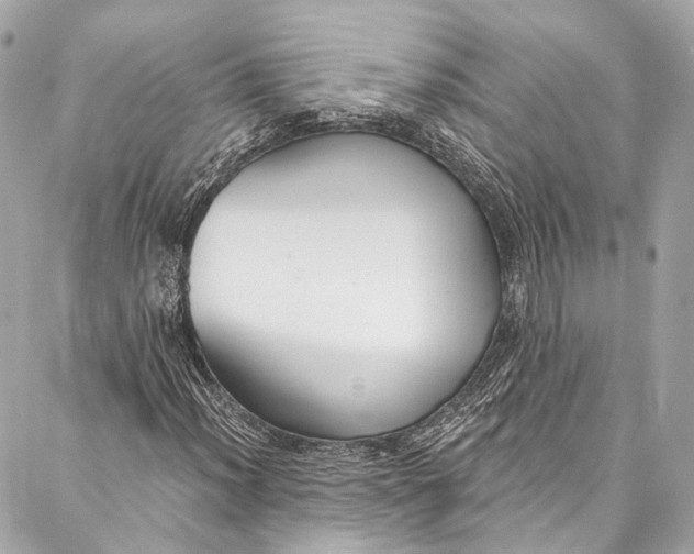 X0000086951012200705071437