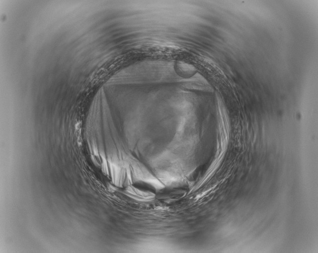 X0000086951013200705071437