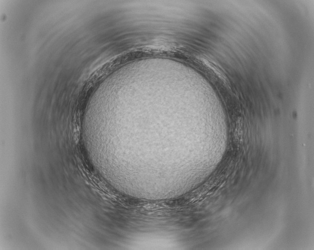 X0000086951015200705071438