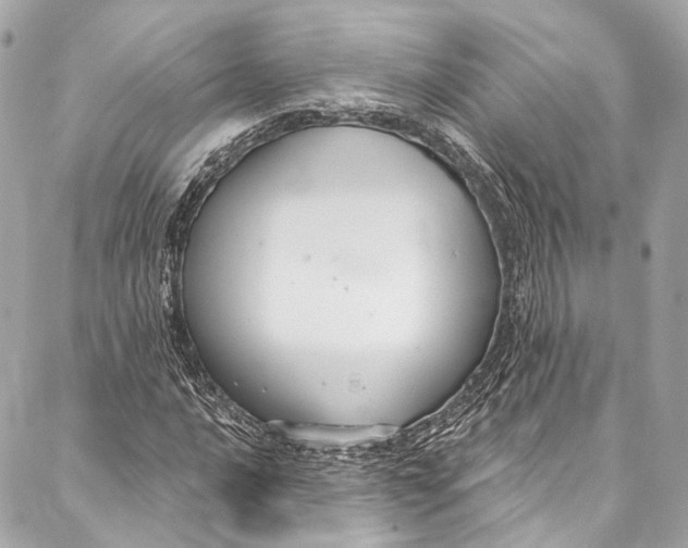 X0000086951016200705071438