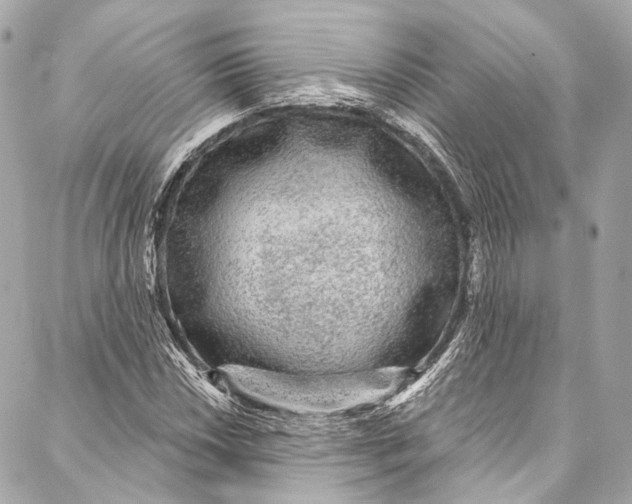 X0000086951018200705071438