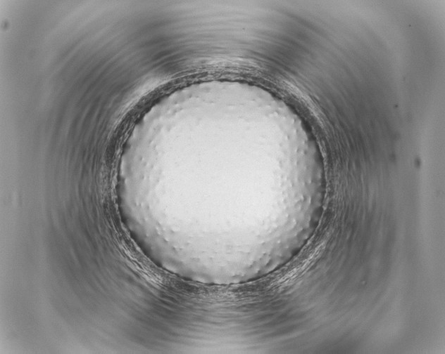 X0000086951019200705071438