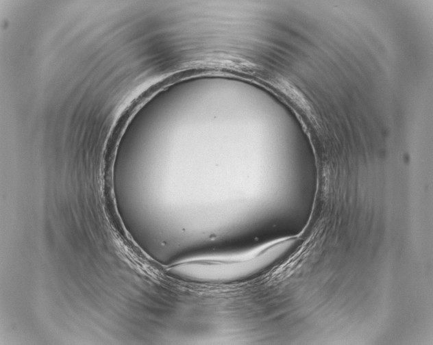 X0000086951020200705071438