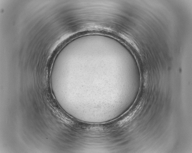 X0000086951021200705071438