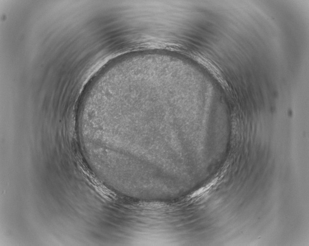 X0000086951023200705071438