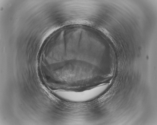 X0000086951024200705071438