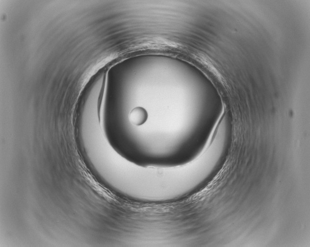 X0000086951026200705071438