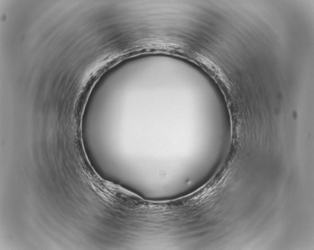 X0000086951027200705071438