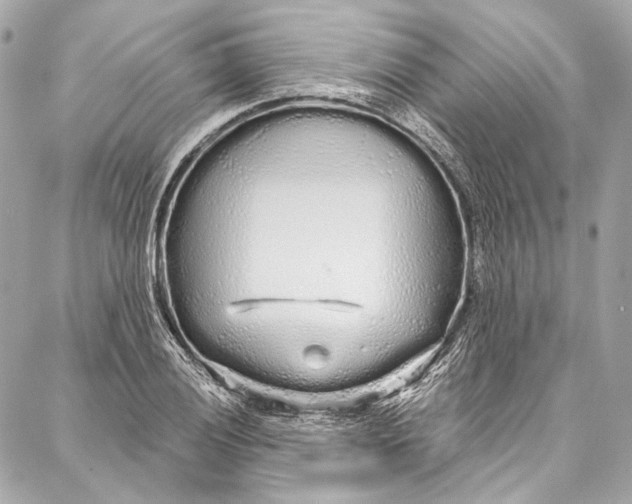 X0000086951028200705071438