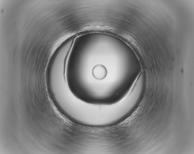 X0000086951030200705071438