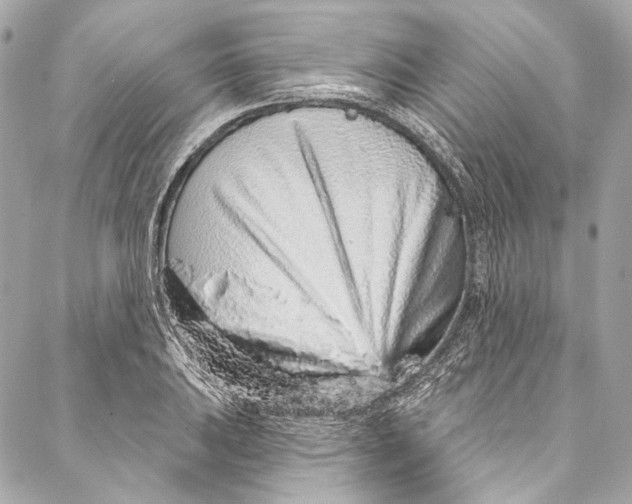 X0000086951031200705071438