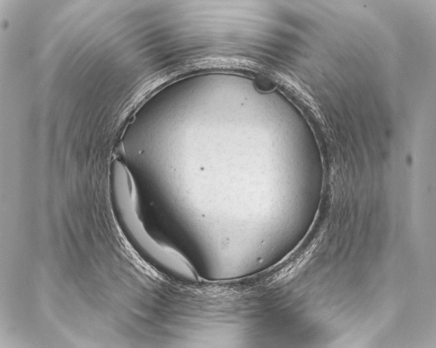 X0000086951033200705071438