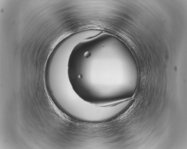 X0000086951034200705071438