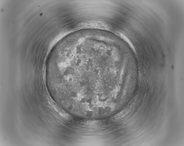 X0000086951035200705071438