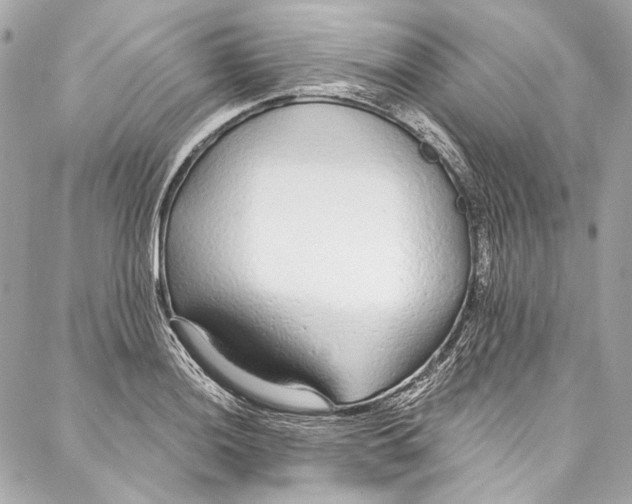 X0000086951036200705071438