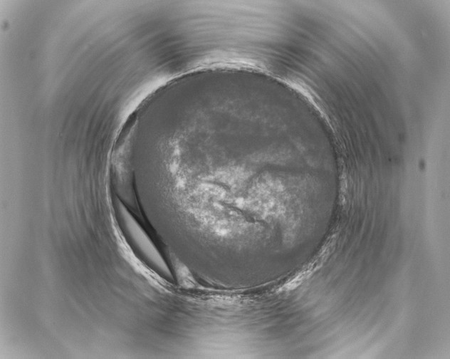 X0000086951038200705071438