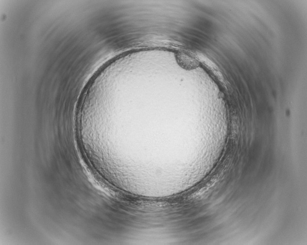 X0000086951039200705071438