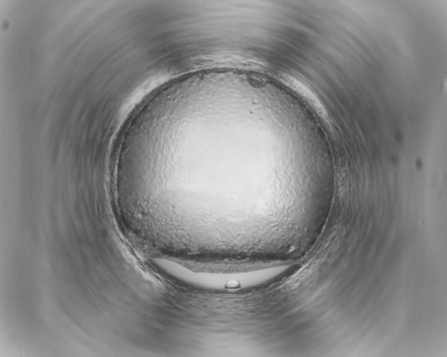 X0000086951043200705071438