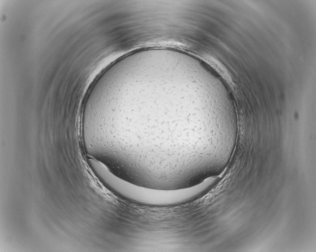 X0000086951044200705071438