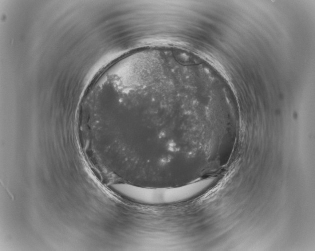 X0000086951045200705071438