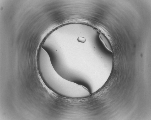 X0000086951046200705071438