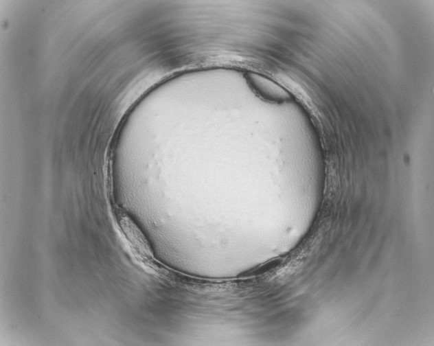 X0000086951047200705071438