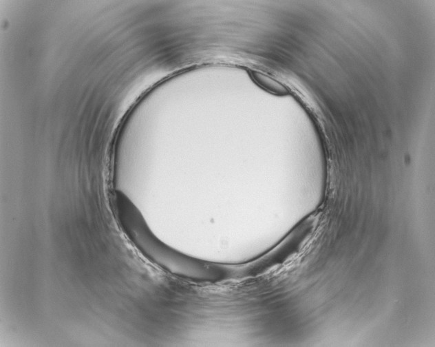 X0000086951048200705071438