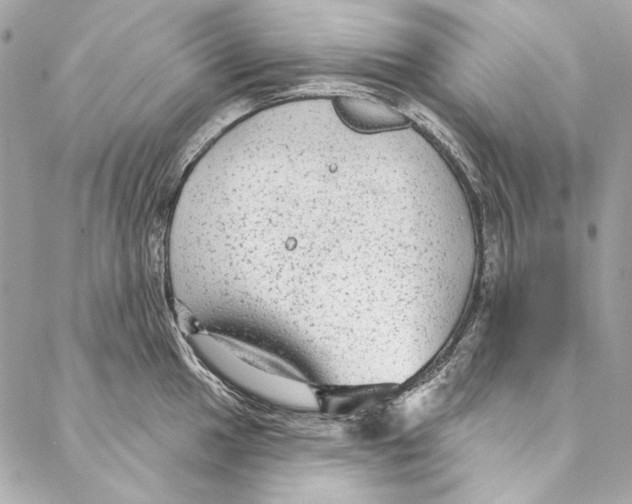 X0000086951049200705071438