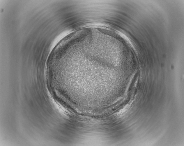 X0000086951050200705071438