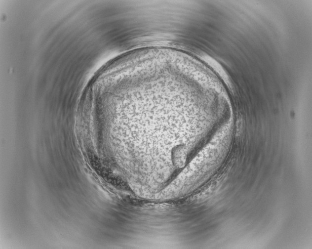 X0000086951051200705071438