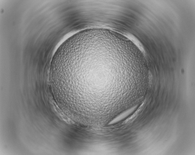 X0000086951052200705071438