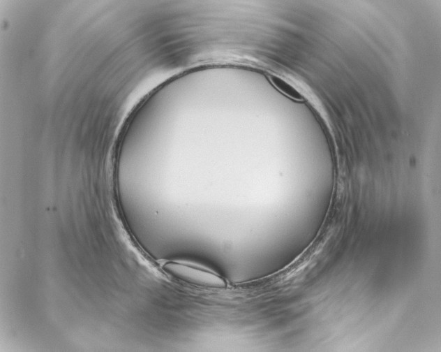 X0000086951053200705071438