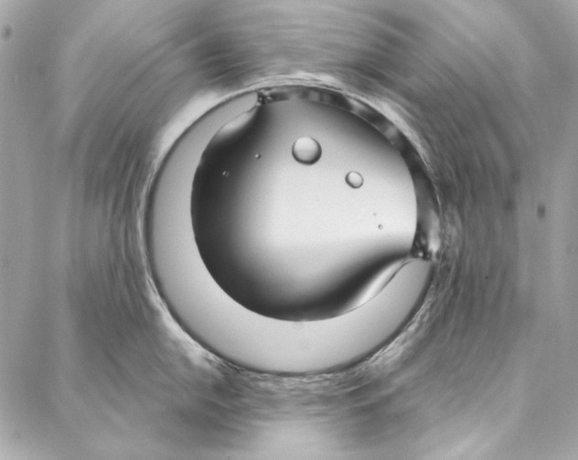 X0000086951054200705071438