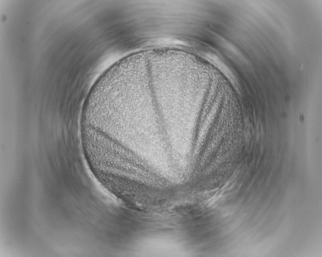 X0000086951055200705071438