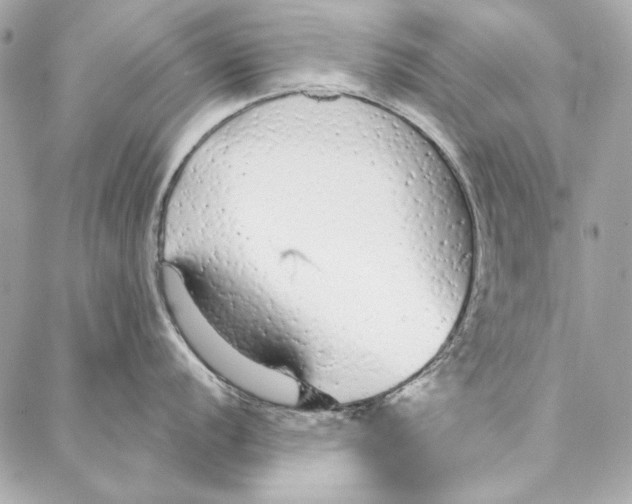 X0000086951056200705071438