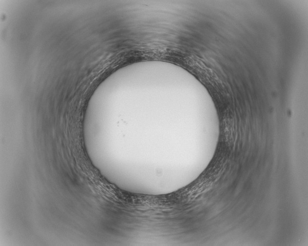 X0000086951057200705071437