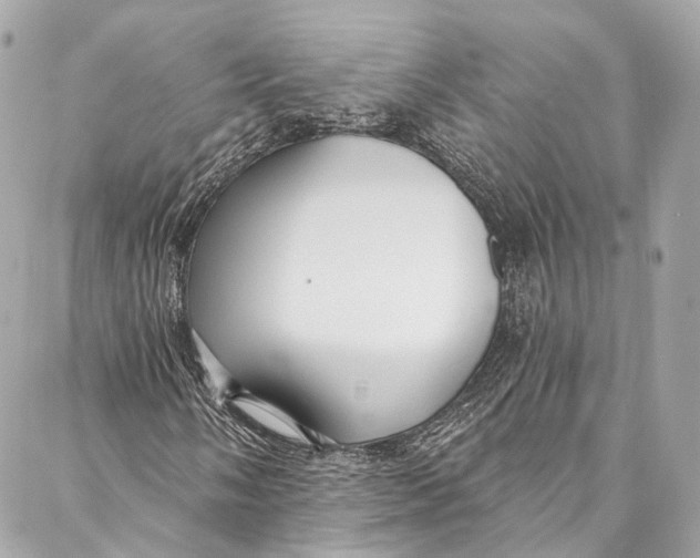 X0000086951058200705071437