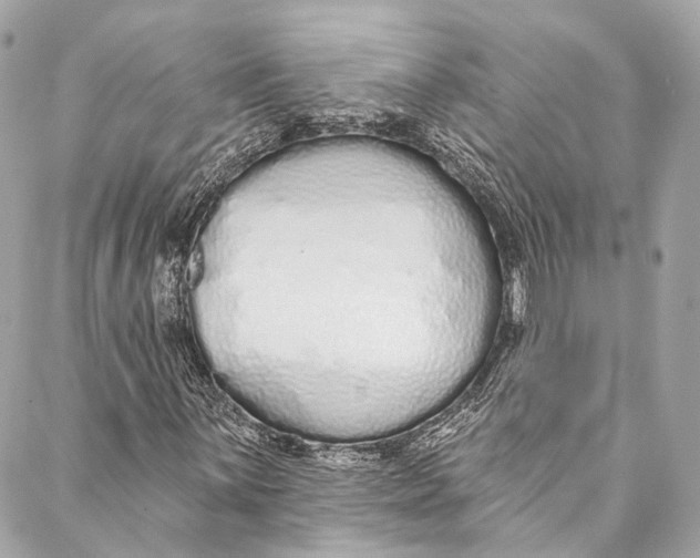 X0000086951059200705071437