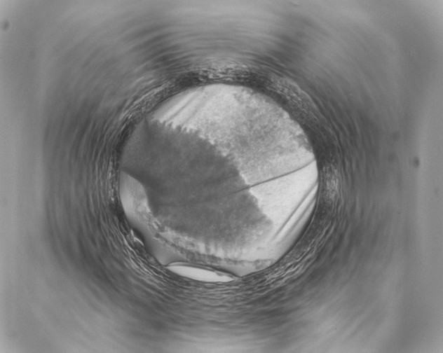 X0000086951060200705071437