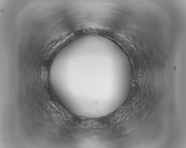 X0000086951061200705071437