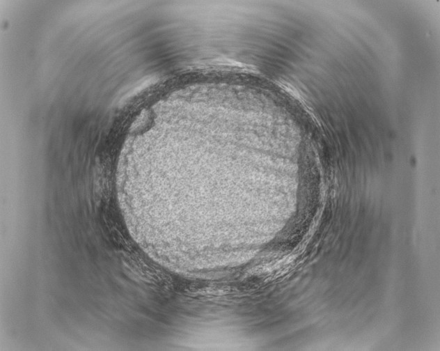 X0000086951063200705071437