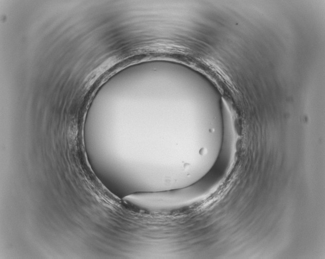 X0000086951065200705071437