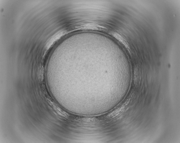 X0000086951067200705071437