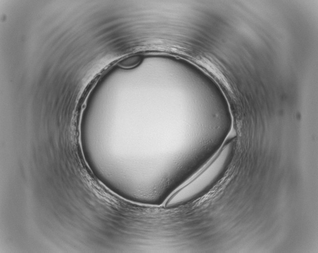 X0000086951068200705071437