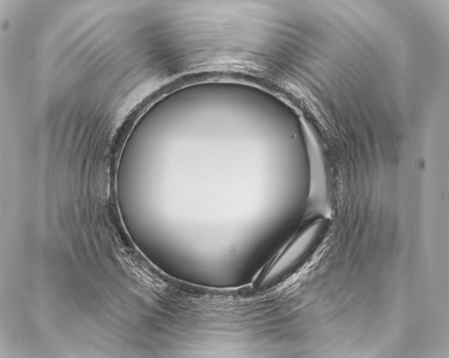 X0000086951069200705071437