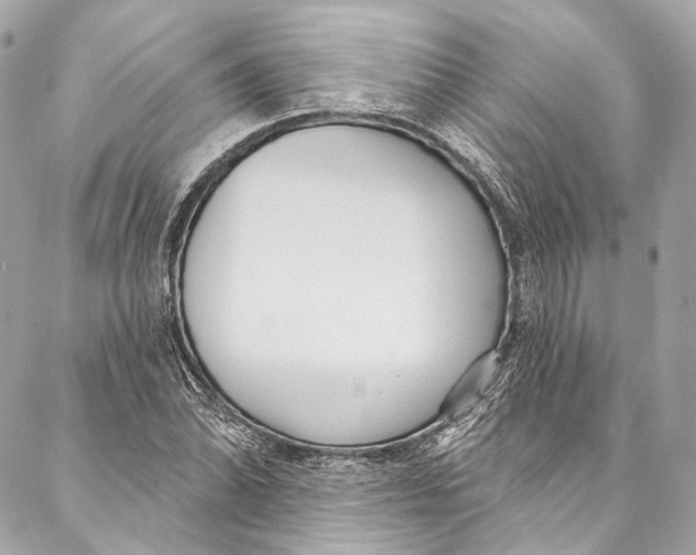 X0000086951070200705071437