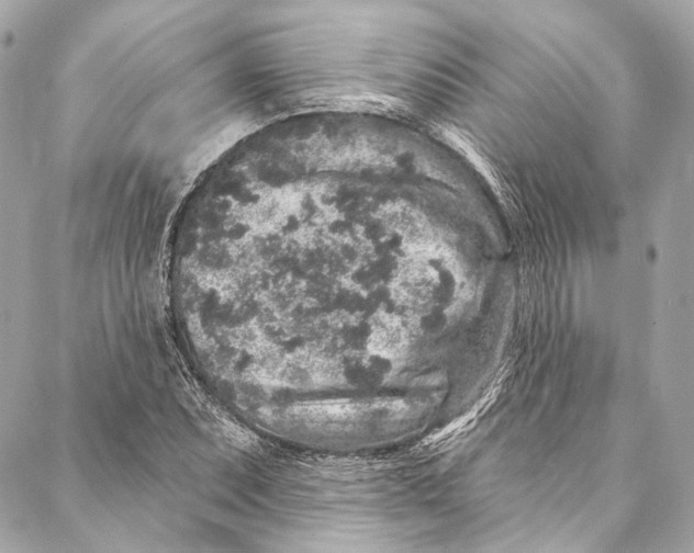 X0000086951071200705071437