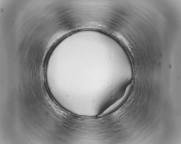 X0000086951072200705071437