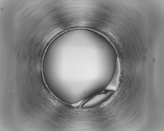 X0000086951073200705071437