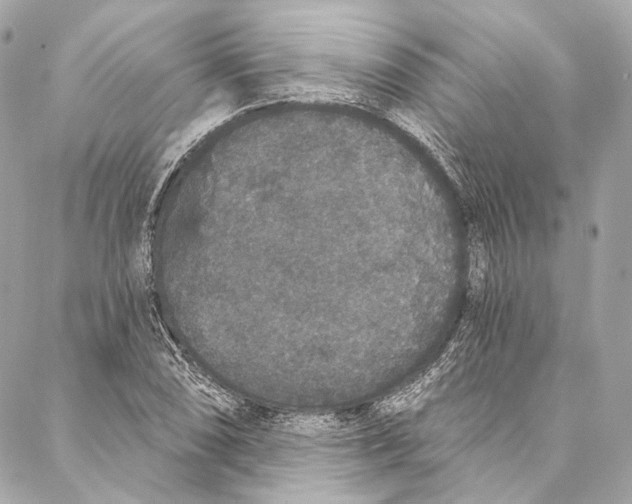 X0000086951074200705071437